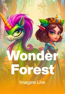 Wonder Forest